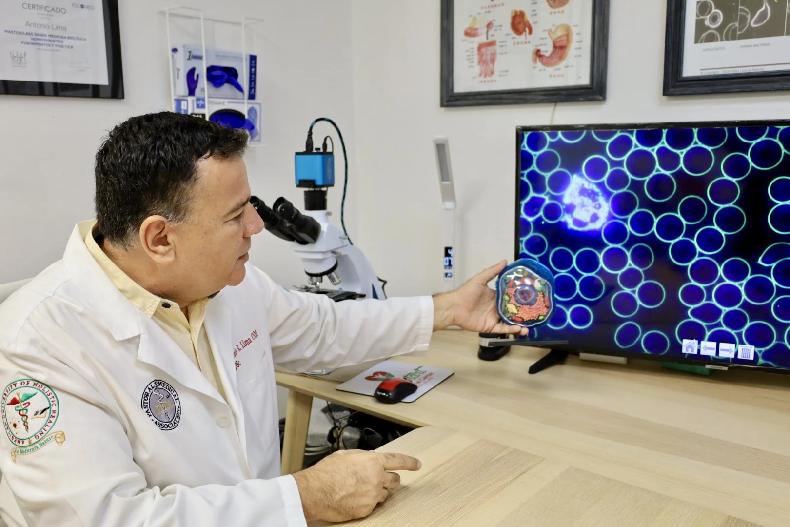 Detalhe de análise de sangue vivo
